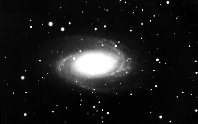 M81